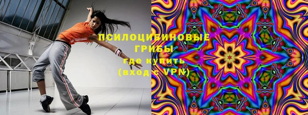 дурь Алексеевка